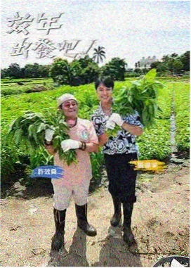 综艺《城市漫游者》海报